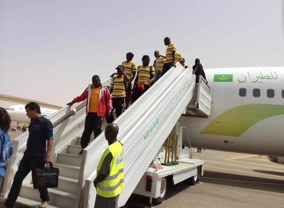 Cranes arrive in Mauritania safely