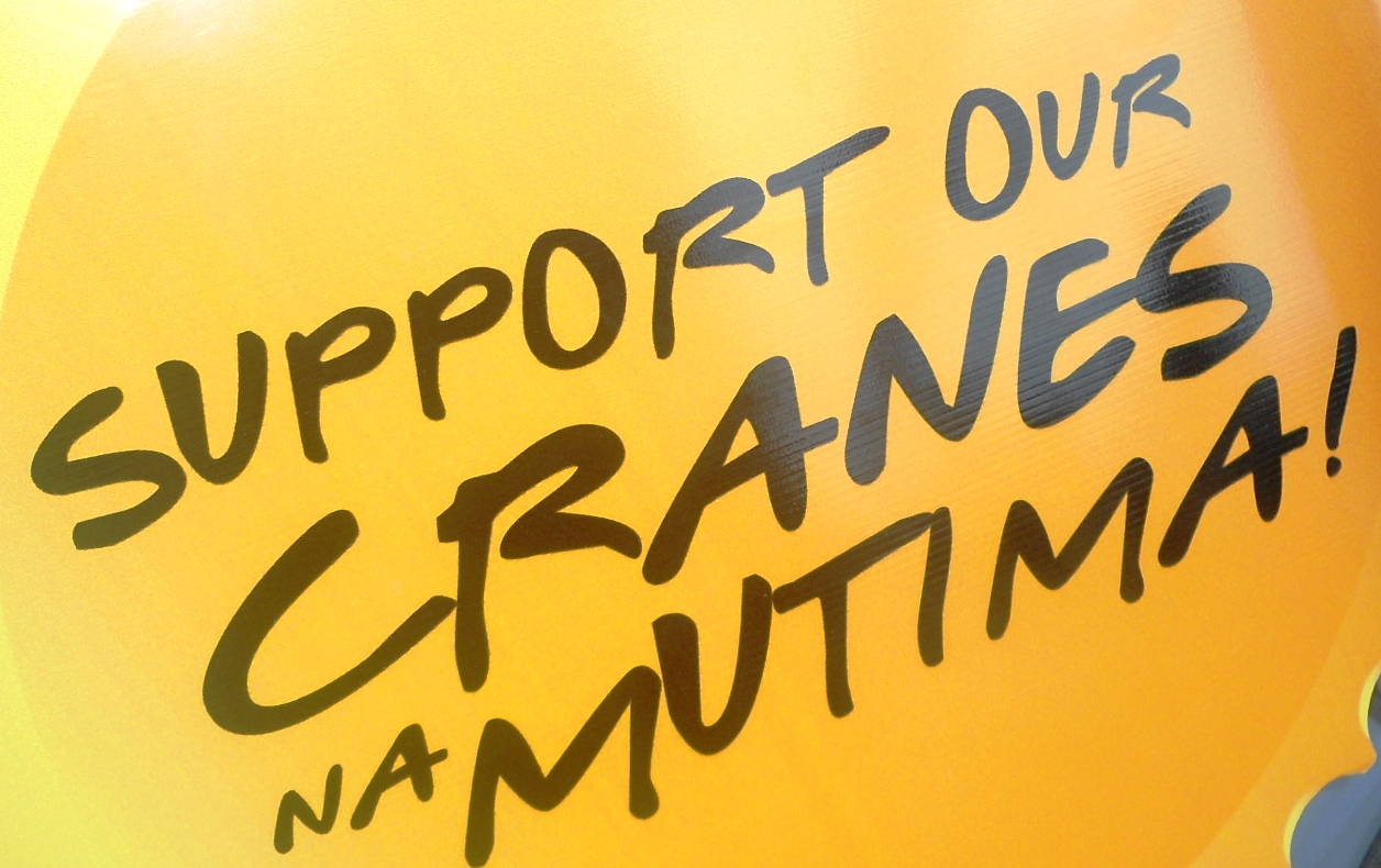 ???????????????????????????????