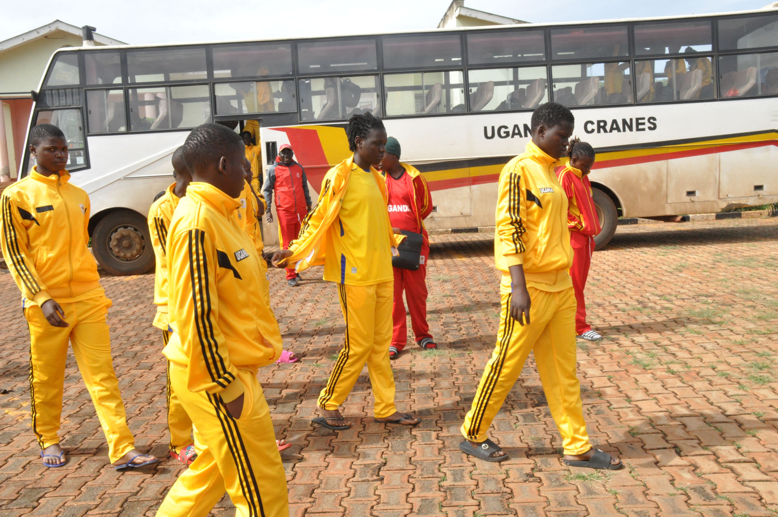 Crested Cranes back home, camping at FUFA Technical Centre