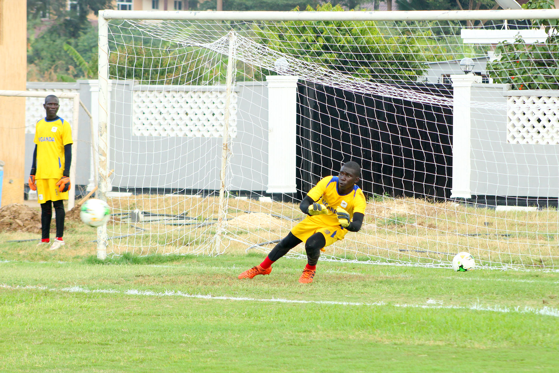 Oyo Delton attempt to save aball